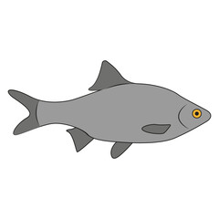 Illustration of a Fish. Gray Color. Flat Design. Cartoon.