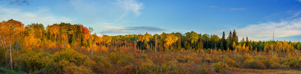 Large-format panorama with autumn forest at sunset