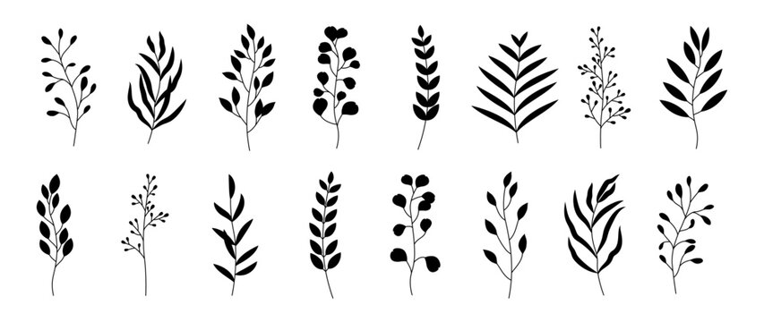 Set of minimalistic vector botanical flower branches in silhouette style. Branches with elegant black leaves on a white background. Isolated botanical trendy greenery vector