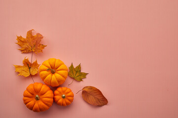 Pumpkins with fall leaves on pink background. Top view.