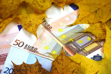 Euro banknotes covered with orange maple leaves. Economy of Europe at autumn, exchange rate