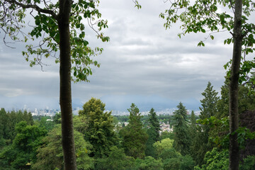 Fototapeta premium Vancouver BC from Queen Elizabeth Park