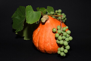 autumn still life