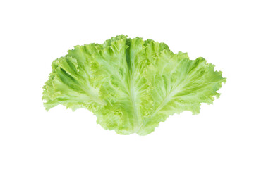 Salad leaf. Lettuce isolated on white background. with clipping path