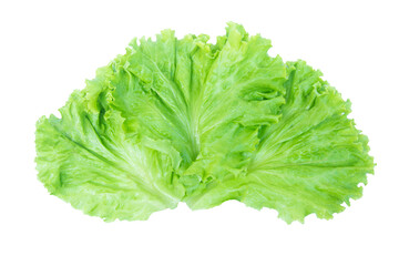 Salad leaf. Lettuce isolated on white background with clipping path
