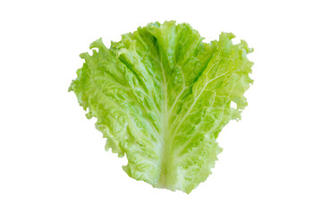 Salad leaf. Lettuce isolated on white background. with clipping path