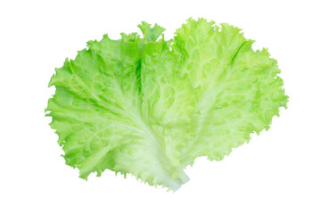 Salad leaf. Lettuce isolated on white background with clipping path.