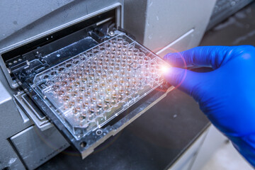 Protein Concentration Assay