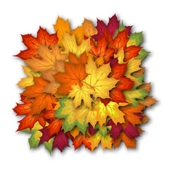 Naklejka na ściany i meble Autumn Leaves Bouquet