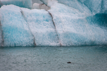 Jökulsárlón glaciar lake (Iceland)
