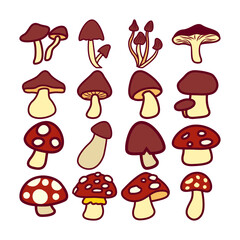 Illustration of various mushrooms set. Isolated on white background. Elements for autumn needs