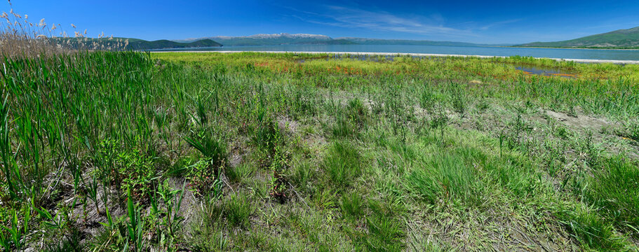 Lake Prespa, Macedonia, Greece // Gro&szlig;er Prespasee, Mazedonien, Griechenland 