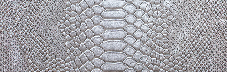 Beautiful white bright python skin, reptile skin texture, snake skin close-up as a background.