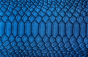 Beautiful blue bright snake or crocodile skin, reptile skin texture, multicolored close-up as a...