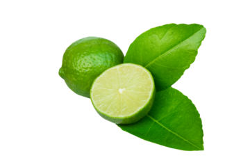 Lime slice and leaf isolated on white background with clipping path