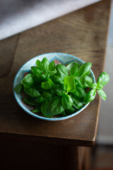 fresh basil in a bowl