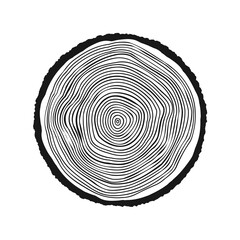 Round tree trunk cut, sawn pine or oak slice. Saw cut timber, wood. Wooden texture with tree rings. Hand drawn sketch. Vector illustration