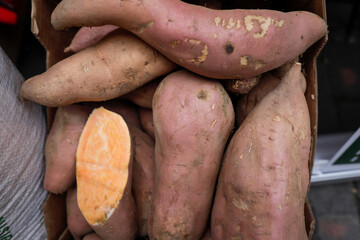 Shallow depth of field (selective focus) details with sweet potatoes in an european farmers market.