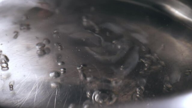 Hot water boiling in saucepan 