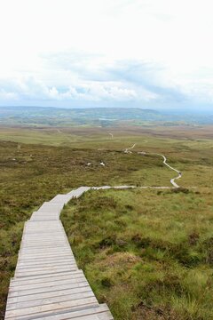 Wooden board walk in the middle of the grasses on a hill