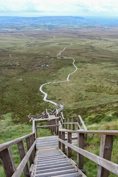 Wooden board walk in the middle of the grasses on a hill