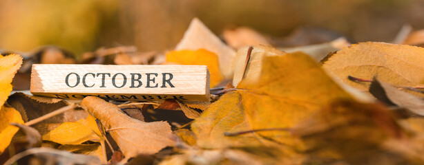 Letters October on the background of fallen leaves, close up. The onset of autumn. Autumn concept. Banner