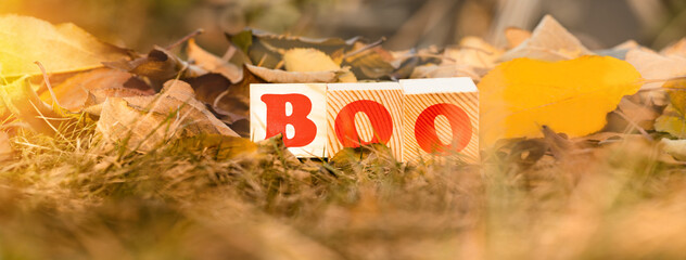 The word BOO on wooden cubes on the background of fallen leaves, close up. Autumn concept....