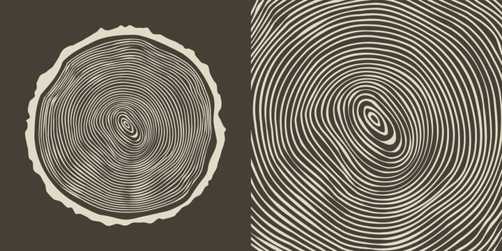 Round tree trunk cut, sawn pine or oak slice. Saw cut timber, wood. Brown wooden texture with tree rings. Hand drawn sketch. Vector illustration