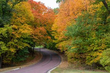 Fototapeta premium Landscape view of a paved road winding up a hill, lined with colorful trees showing autumn changing foliage