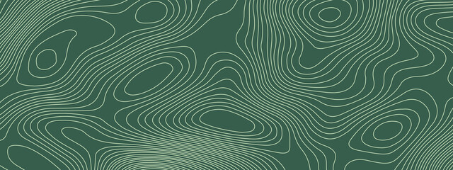 The stylized multicolored wavy abstract topographic map contour, lines Pattern background. Topographic map and landscape terrain texture grid. Wavy banner and color geometric form. Vector illustration