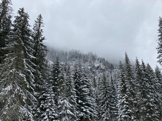 Mountain landscape in the winter day with fog. Forest and trees with the snow in the winter day. Mountain path for hiking in the mountains with snow, trees and forest. Foggy snow mountain landscape.