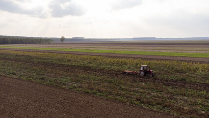 Naklejka premium Tractor works the field. Photo from drone.
