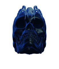 skull, skeleton halloween