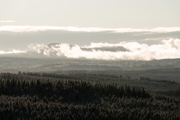 Misty forest and mountains, sunset at Sumava national park