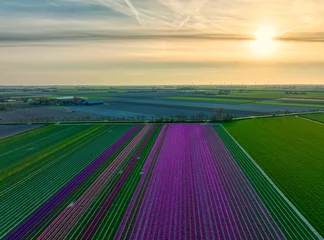 Gordijnen Holland, country of colour. © Alex de Haas