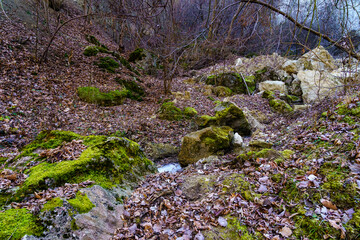 Rocky wilderness. Background or backdrop with selective focus and copy space