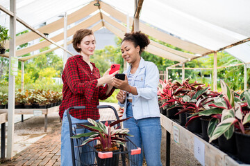 African woman and client Shop at the plant farm. In the garden. Gardeners in exotic breeding centers full of tropical plants.