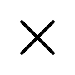 x icon