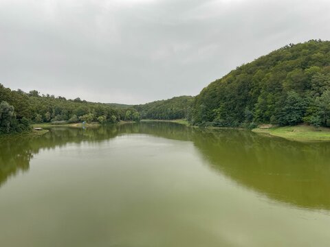 Trees reflection on the water in the lake