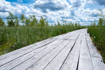Fototapeta na wymiar Wooden flooring-path on the surface of the swamp, going beyond the horizon.