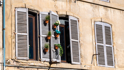 windows with old wooden blinds and flower pots