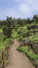 LOMAS DE LACHAY BOSQUE