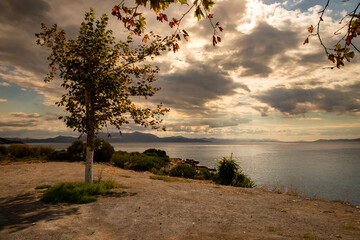 Fototapeta na wymiar Krajobraz morski. Widok pod słońce z niebem i chmurami na greckiej wyspie Evia. Piękne wybrzeże greckiej wyspy. Podróże i wakacje w Grecji. 