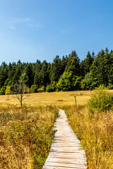 Herbstlicher Spaziergang auf den Höhenweg des Thüringer Waldes - Thüringen - Deutschland