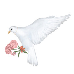 White dove with golden necklace, and peony flowers. Watercolor hand drawn realistic dove with a tender bouquet of peonies.