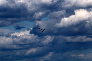 Large rain clouds in the sky over the sea.