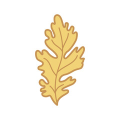 Obraz premium Hand drawn leaf. Foliage element. Vector isolated on white background.