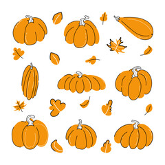 Pumpkins set vector illustration with falling leaves isolated on white background. Different shapes and sizes Orange and white color with black outline flat doodle style design