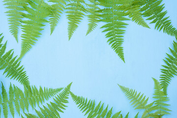 Fototapeta na wymiar fern leaves on a rough concrete background. 