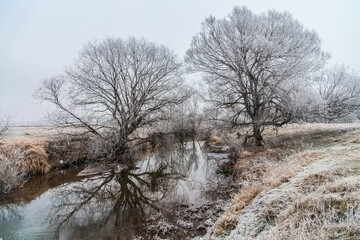 Frosty morning by the river